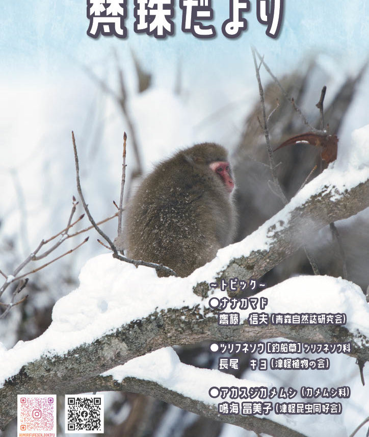 梵珠だより134号