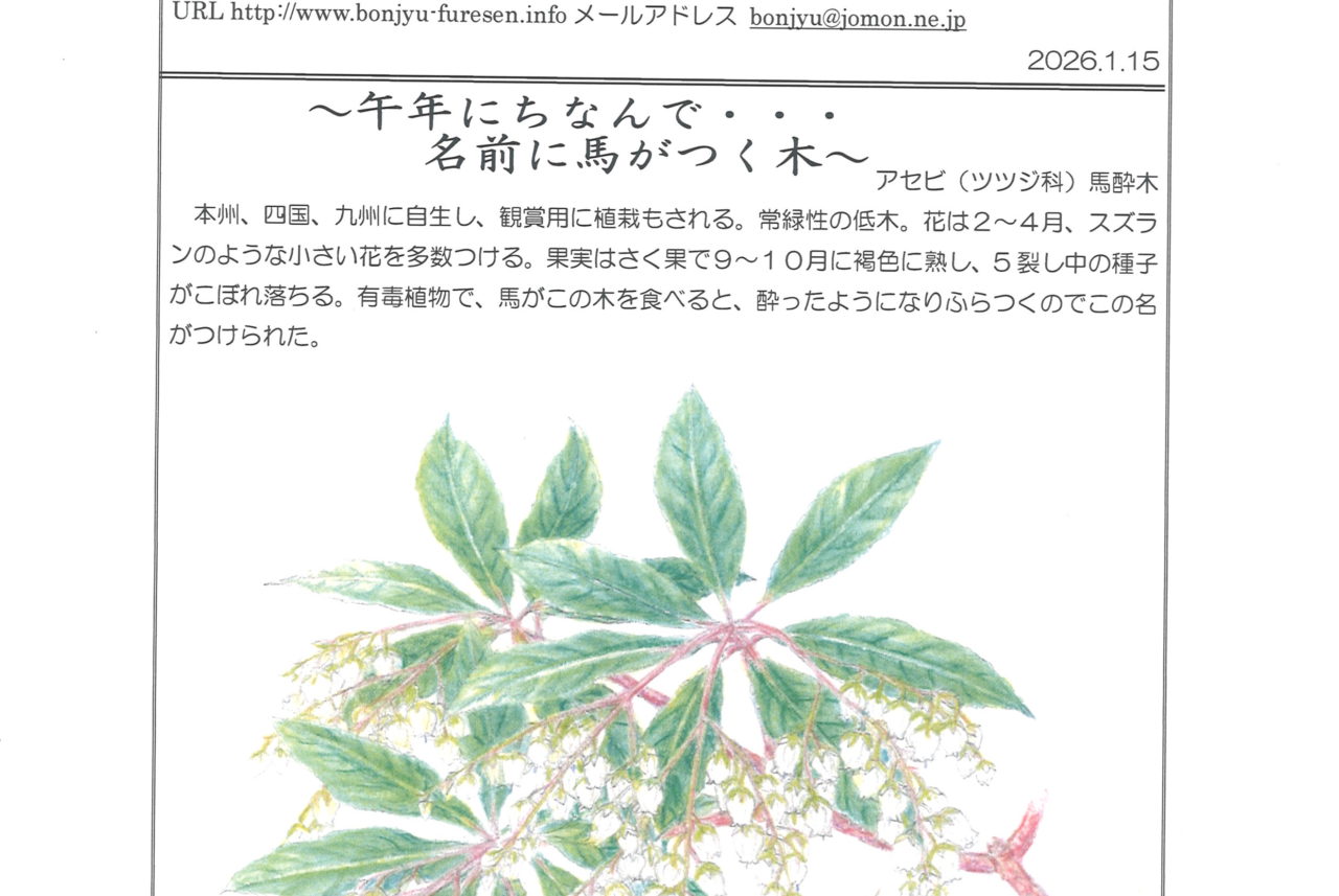 ネットワーク梵珠1月号（第401号）